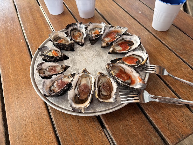 Freycinet Marine Farm - Freycinet Marine Farm, 1784 Coles Bay Rd, Coles Bay TAS 7215, Australia