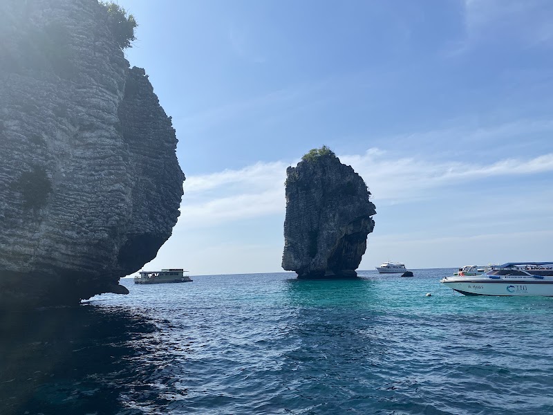 Phoenix Divers - Koh Lanta Diving, Freediving, Snorkeling - Phoenix Divers - Koh Lanta Diving, Freediving, Snorkeling Sala Dan, Ko Lanta District, Krabi 81150, Thailand