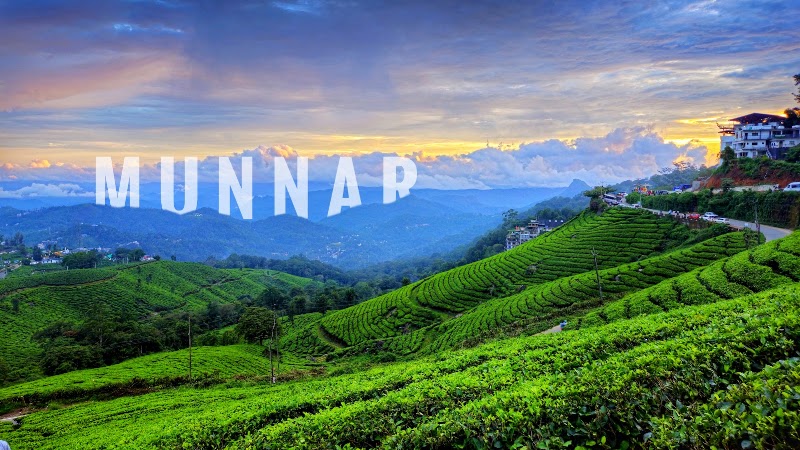 Munnar Tea Garden View Point - Munnar Tea Garden View Point 22RR+R68, Munnar - Aluva Rd, Mankulam, Kerala 685565, India
