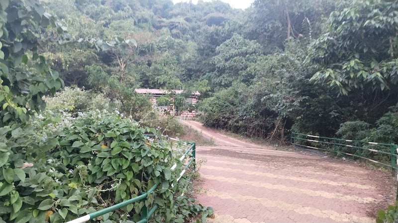 Hidden Waterfall ahead of Routwadi - Hidden Waterfall ahead of Routwadi, CXH3+J9, Olavan, Maharashtra 416212, India