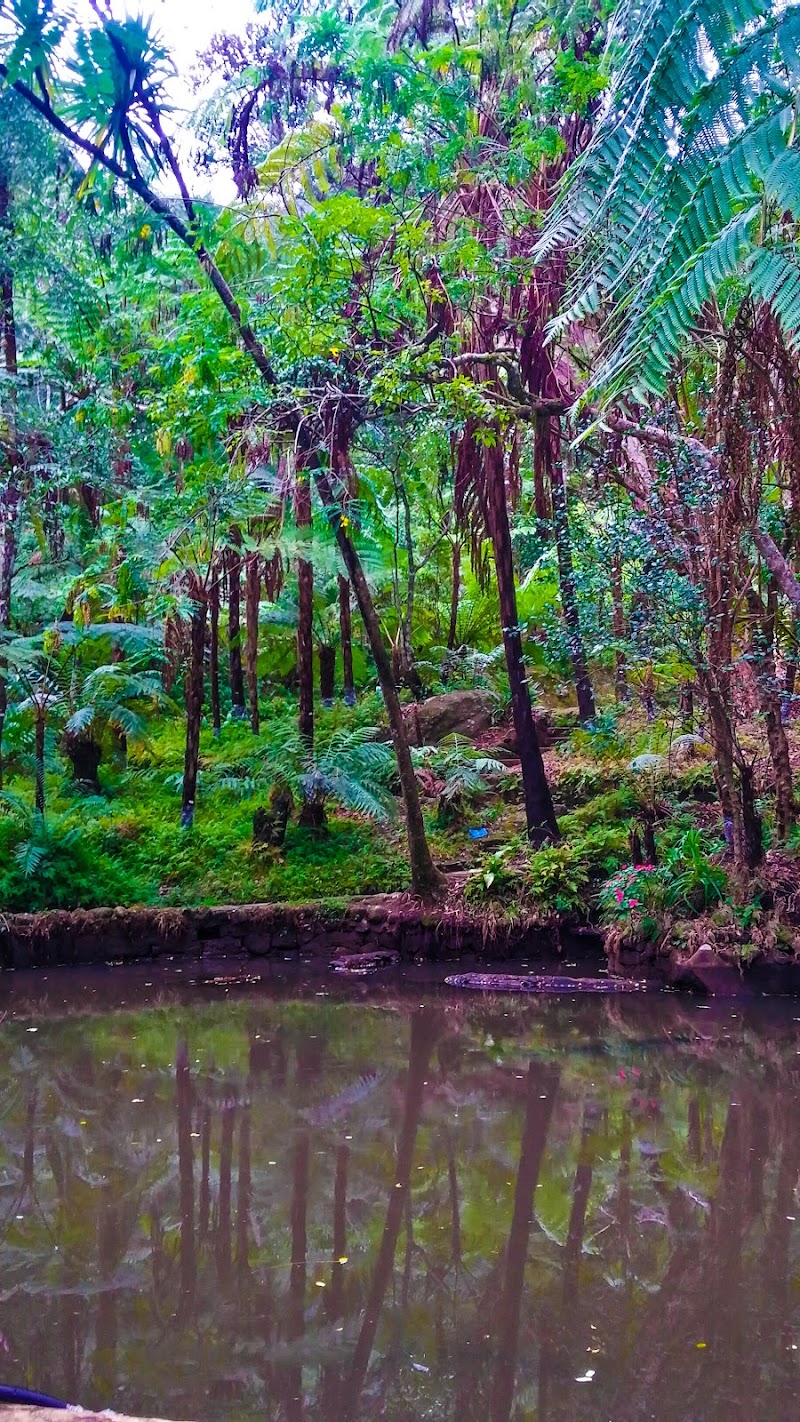 Hakgala - Hakgala, Sri Lanka