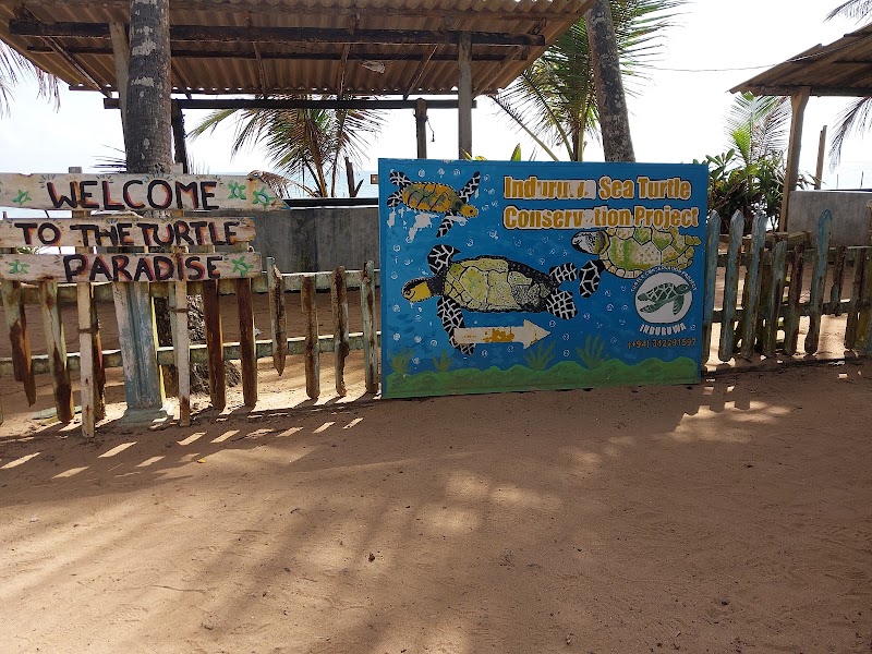 Kosgoda Sea Turtle Conservation Project - Kosgoda Sea Turtle Conservation Project Mahapalena, No. 13/A Galle Rd, Kosgoda 80570, Sri Lanka