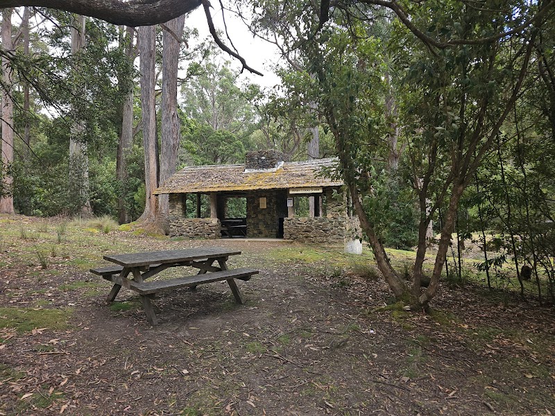 Mount Field Visitor Centre - Mount Field Visitor Centre, 66 Lake Dobson Rd, Mount Field TAS 7140, Australia