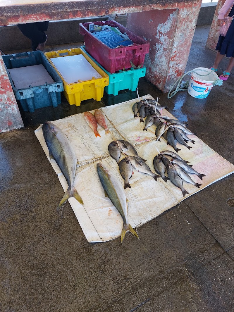 Kalk Bay Harbour - Kalk Bay Harbour, 167-181 M4, Fish Hoek, Cape Town, 7990, South Africa