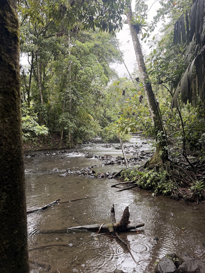 El Choyin - El Choyin, F7QG+CH4, Alajuela Province, La Fortuna, Costa Rica