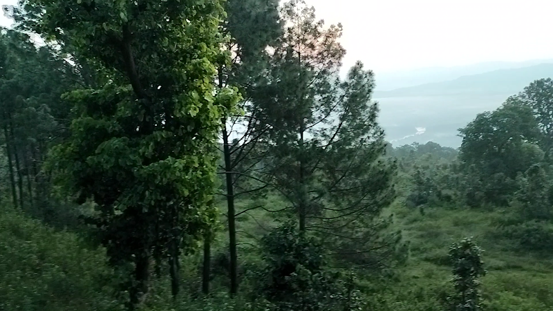 NETARHAT SUNRISE VIEW POINT - NETARHAT SUNRISE VIEW POINT F7PH+R4G, Netarhat, Jharkhand 835218, India