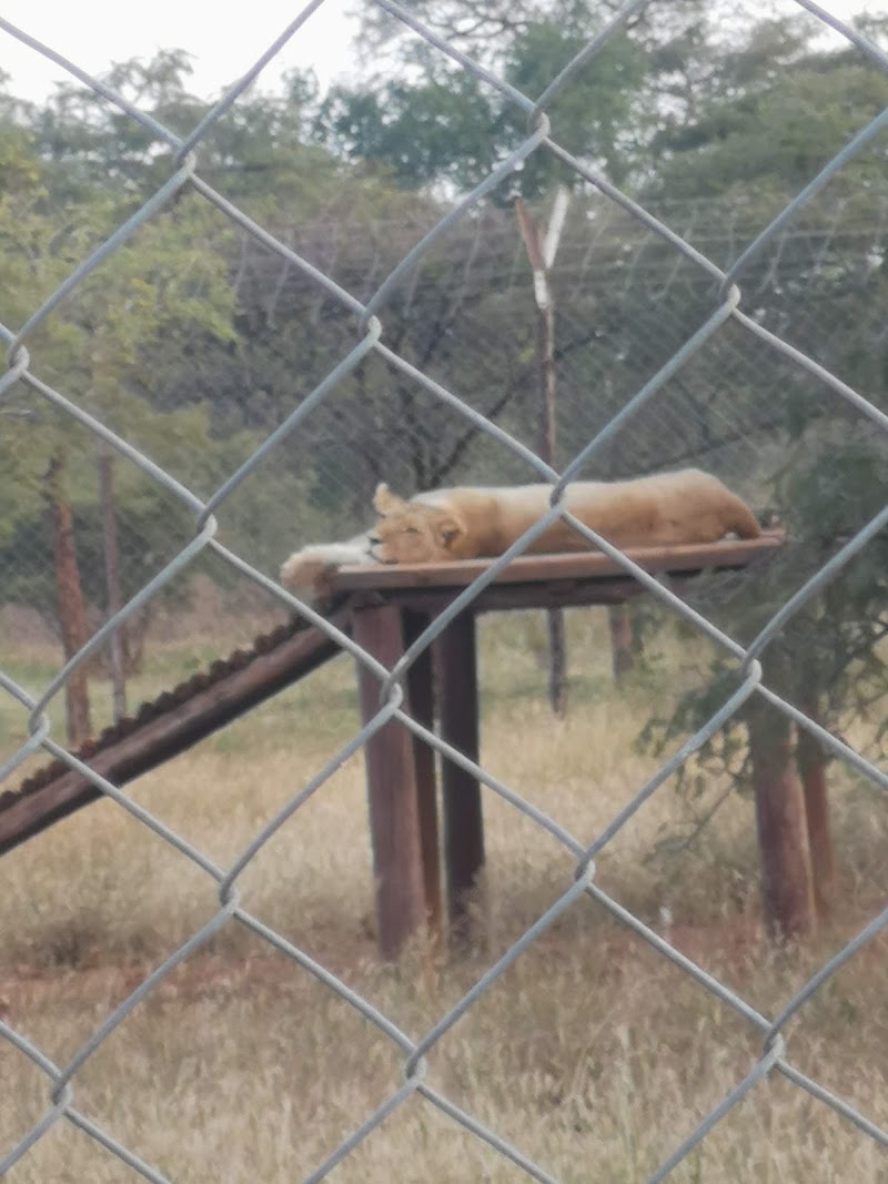 Tshabalala Game Sanctuary - Tshabalala Game Sanctuary, QH55+2MP, Bulawayo, Zimbabwe