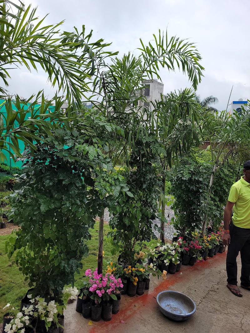 Lakecity Nursery - Lakecity Nursery JP4H+JC7, near New RTO, behind Swastik Heights, Hari Vihar Colony, Pahada, Raghunathpura, Udaipur, Rajasthan 313001, India