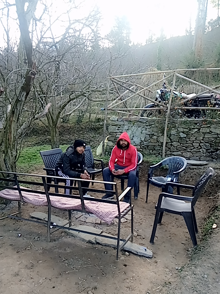 Pine Wood Homestay