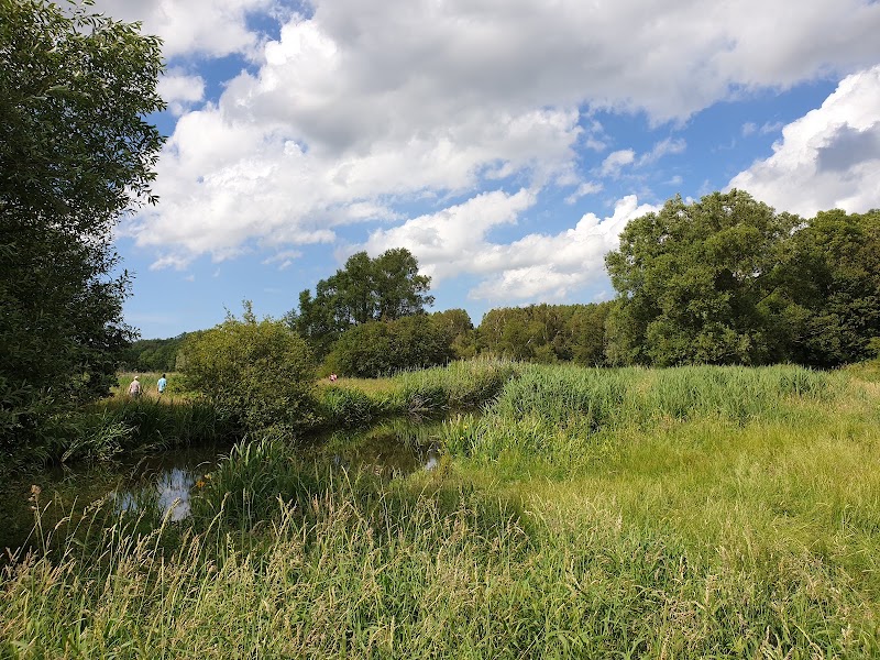 Polderpark Cronesteyn - Polderpark Cronesteyn, Polderpad 8, 2322 LB Leiden, Netherlands