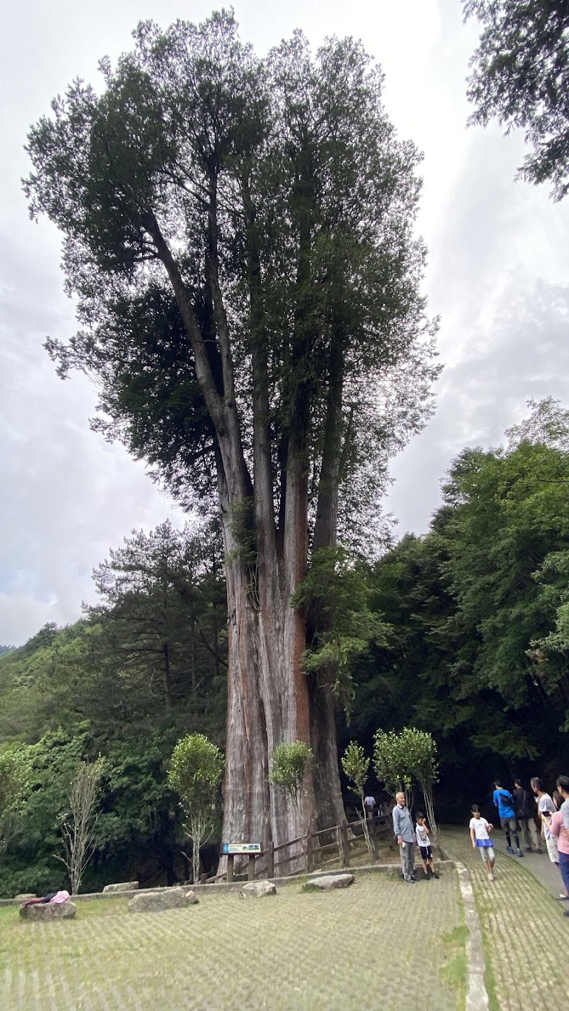 Xiaoxueshan Heavenly Pool - Xiaoxueshan Heavenly Pool, 424, Taiwan, Taichung City, Heping District, Daguan Village, Xueshan Road, 18號49K處大雪山林道