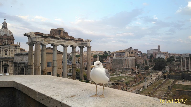Tarpeian Belvedere - Tarpeian Belvedere Via Monte Tarpeo, 42, 00186 Roma RM, Italy