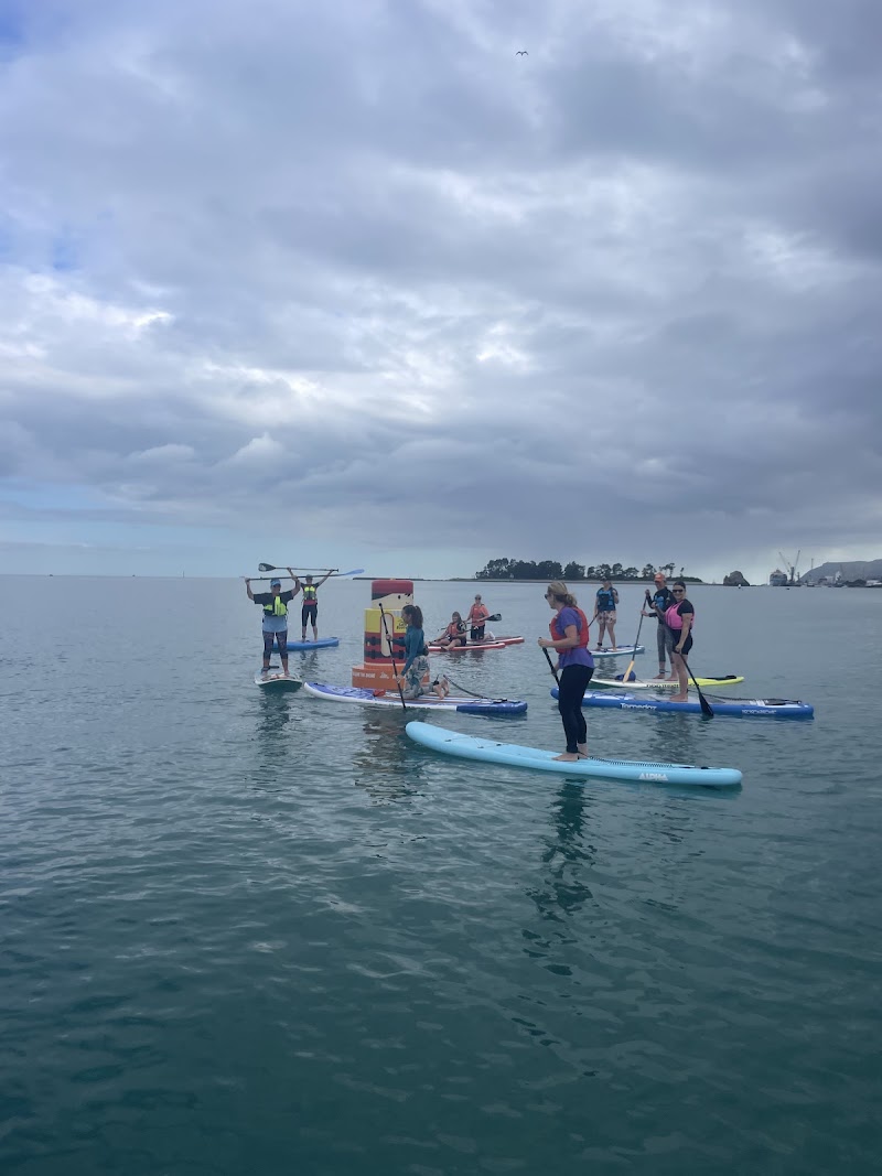 Paddle Nelson - Paddle Nelson, Bisley Walk, Tāhunanui, Nelson 7011, New Zealand