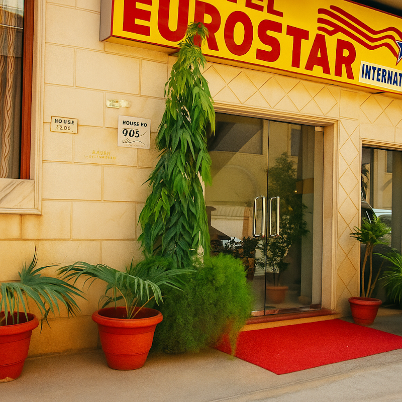 Hotel Eurostar International Delhi Airport -T 3 - Hotel Eurostar International Delhi Airport -T 3 A-27/1, Rd Number 1, Block B, Mahipalpur Extension, Mahipalpur, Delhi, New Delhi, Delhi 110037, India