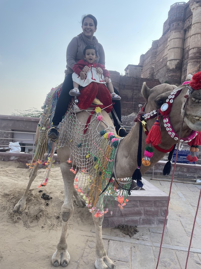 Jai Pol - Jai Pol 72X9+WR7, Sodagaran Mohalla, Jodhpur, Rajasthan 342001, India