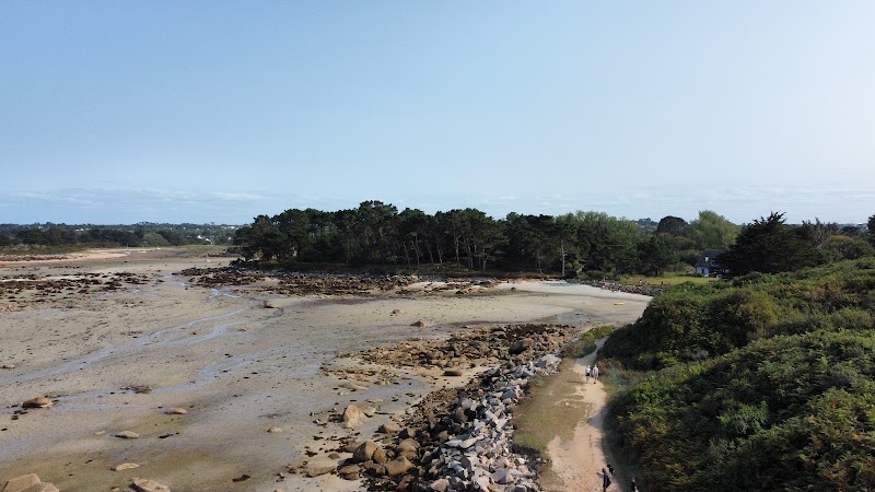 Lande de Bringwiller - Lande de Bringwiller, 51 Rte de Bringuiller, 22560 Trégastel, France