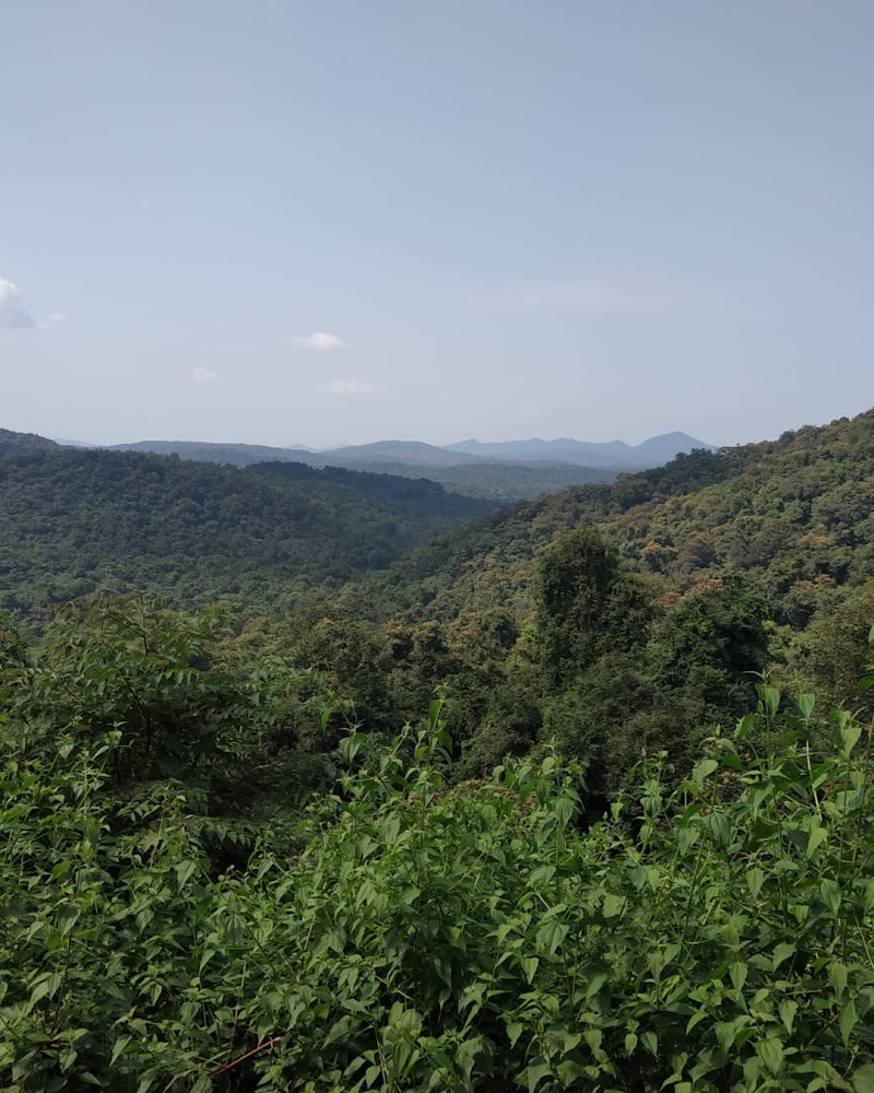 Neturlem Waterfall (Savri) - Neturlem Waterfall (Savri) 366J+FQM, Neturlim, Goa 403704, India