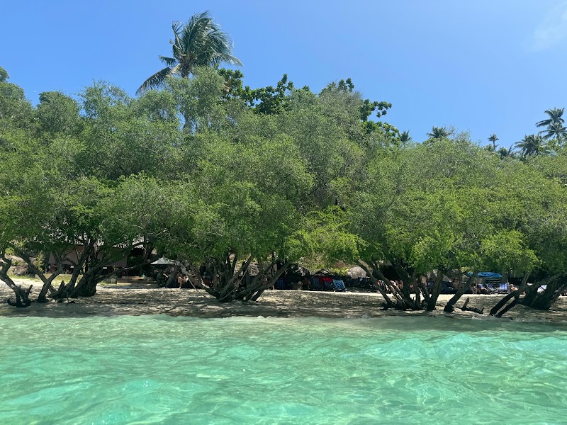 Relax Freedom Beach Restaurant & Bar - Relax Freedom Beach Restaurant & Bar District Chalok, 20, ตำบล เกาะเต่า อำเภอเกาะพะงัน สุราษฎร์ธานี 84360, Thailand