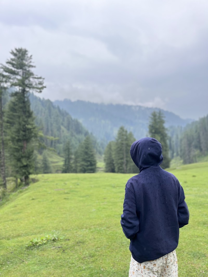 Jai valley Camping Ground - Jai valley Camping Ground 2QGF+VF7, Bhaderwah, 182203