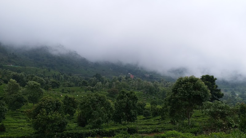 Tea Estate Bungalow with Waterfall View - Tea Estate Bungalow with Waterfall View, 1/276, Hadatorai Estate, Nihung post, Kotagiri, Tamil Nadu 643214, India