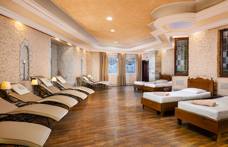 Carlsbad Plaza Medical Spa & Wellness Hotel - Carlsbad Plaza Medical Spa & Wellness Hotel, Mariánskolázeňská 25, 360 01 Karlovy Vary-Karlovy Vary 1, Czechia
