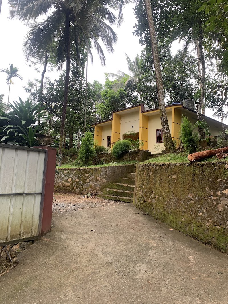 Padinjarathara Wayanad - Padinjarathara Wayanad, MX27+GX, Padinjarathara, Keralam 673575, India
