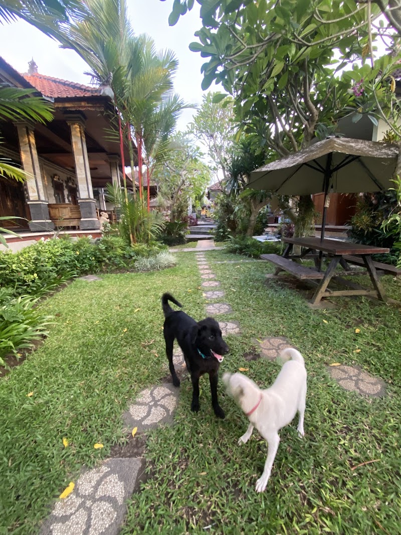 Pande Homestay - Pande Homestay Jl. Pantai Batu Bolong No.1, Canggu, Kec. Kuta Utara, Kabupaten Badung, Bali 80361, Indonesia