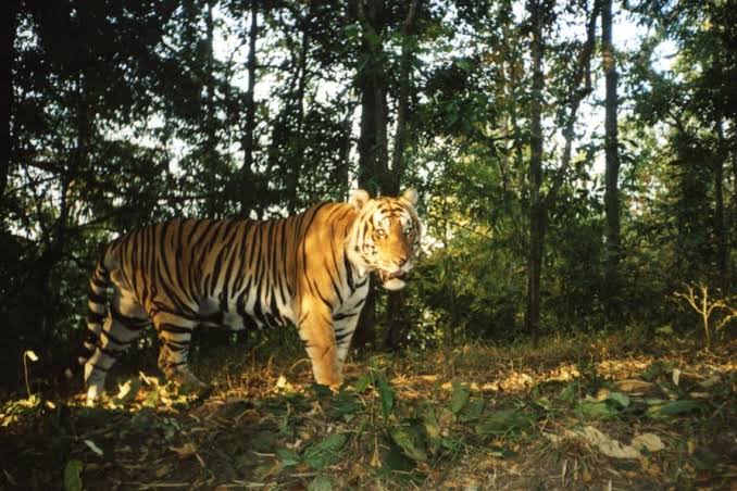 Northern Thailand - Northern Thailand, Thailand