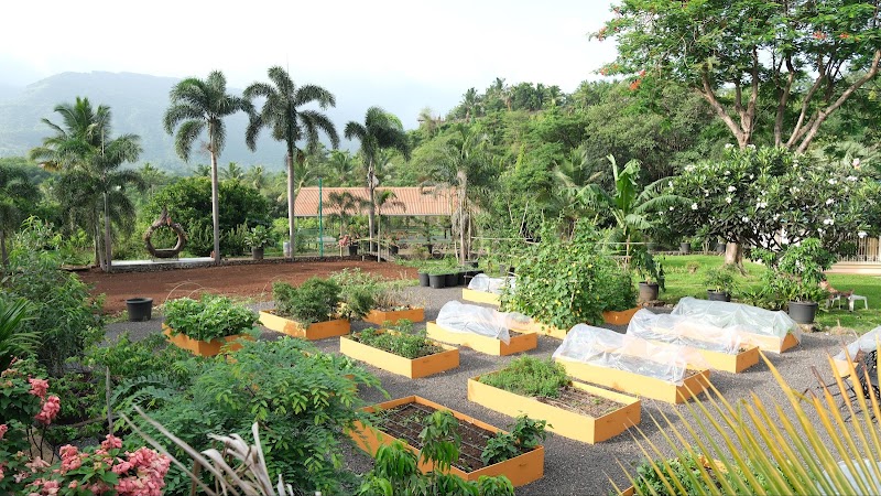 The Riverstone Agro Farm - The Riverstone Agro Farm SN. 15/1, Dodhani Road, Old Matheran Road Nr Maldunge Bus-stop, Dodhani, New, Panvel, Dhodani, Maharashtra 410206, India