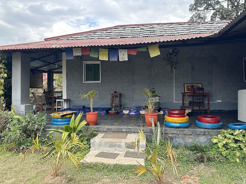 Dreamwoods - Dreamwoods, tea estate jhikkar, Gharoh, Dharamshala, Jhikkar, Himachal Pradesh 176217, India
