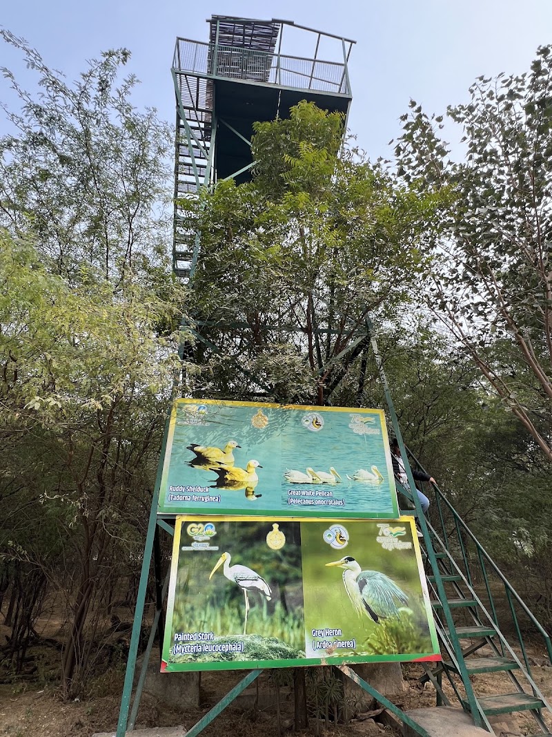 Sultanpur National Park - Sultanpur National Park National Park, Gurgaon - Farukhnagar Rd, Sultanpur, Gurugram, Haryana 122006, India