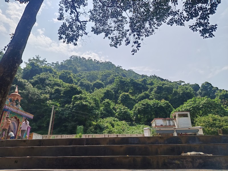 Gandhamardhan hills - Gandhamardhan hills, Odisha 768039, India