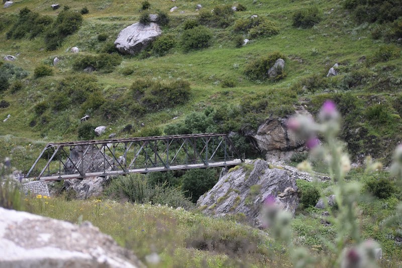 Dantu - Dantu, Uttarakhand 262545, India