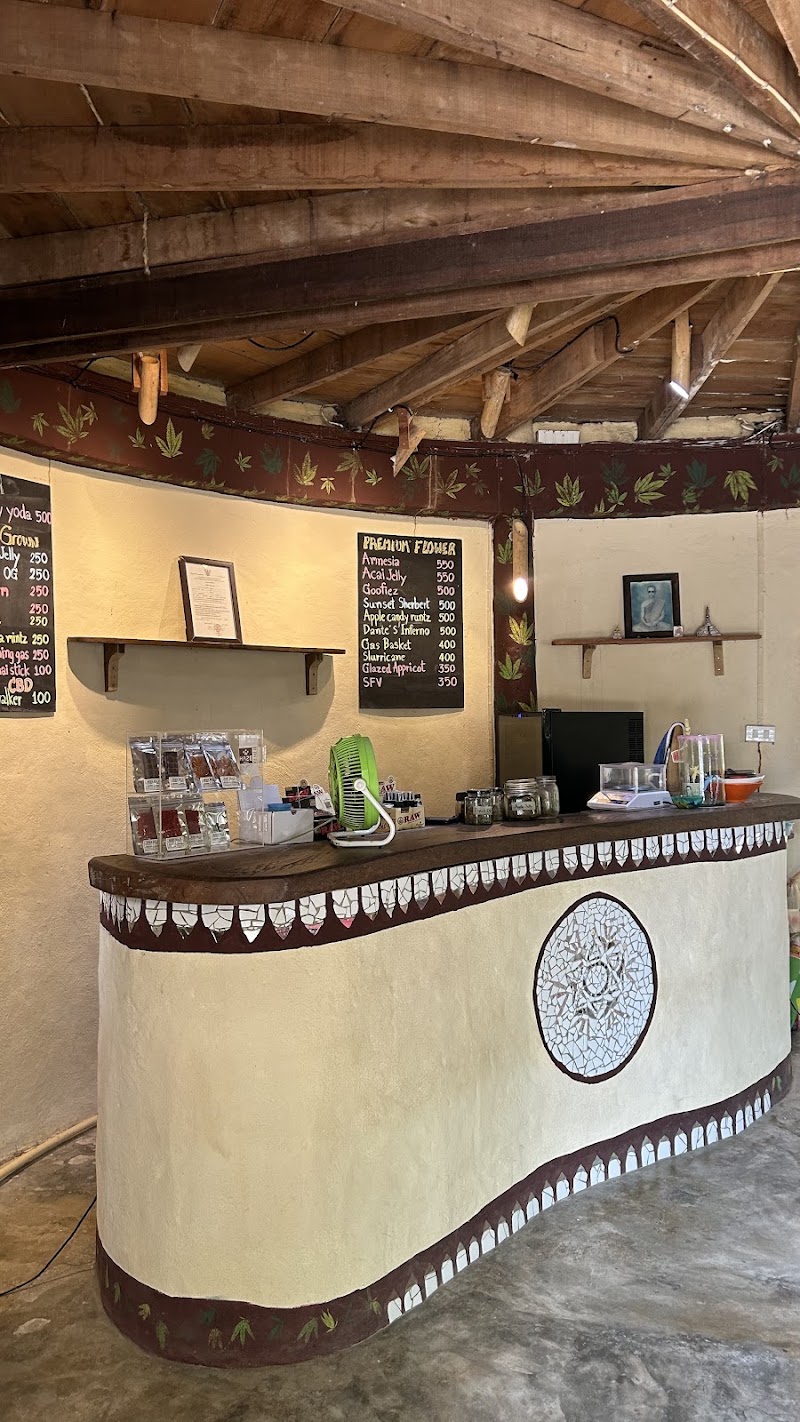 High Siam (koh lanta weed shop) - High Siam (koh lanta weed shop), 112, Tambon Ko Lanta Yai, Amphoe Ko Lanta, Chang Wat Krabi 81150, Thailand