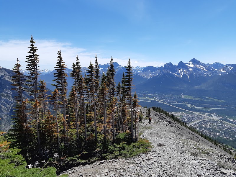 Cougar Creek/Mount Lady MacDonald Trailhead - Cougar Creek/Mount Lady MacDonald Trailhead 500 Benchlands Trail, Canmore, AB T1W 1G7, Canada
