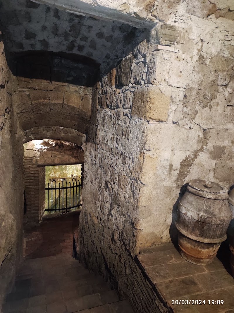 Pozzo della Cava - Pozzo della Cava, Via della Cava, 28, 05018 Orvieto TR, Italy