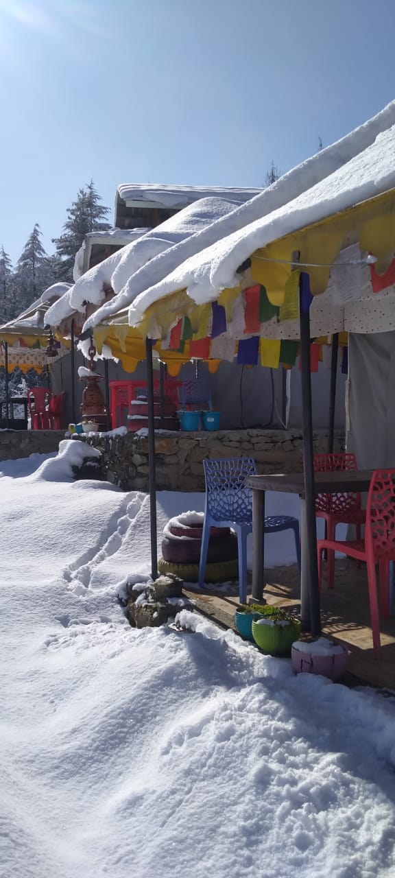 Whispering Pines Camp Stay - Whispering Pines Camp Stay, Shangarh, Himachal Pradesh 175134, India