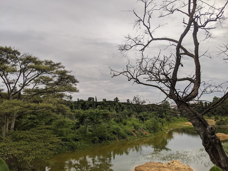 Mesthripalya Lake - Mesthripalya Lake E type Quarters, 1st A cross Rd, 4th Block, Koramangala, Bengaluru, Karnataka 560034, India