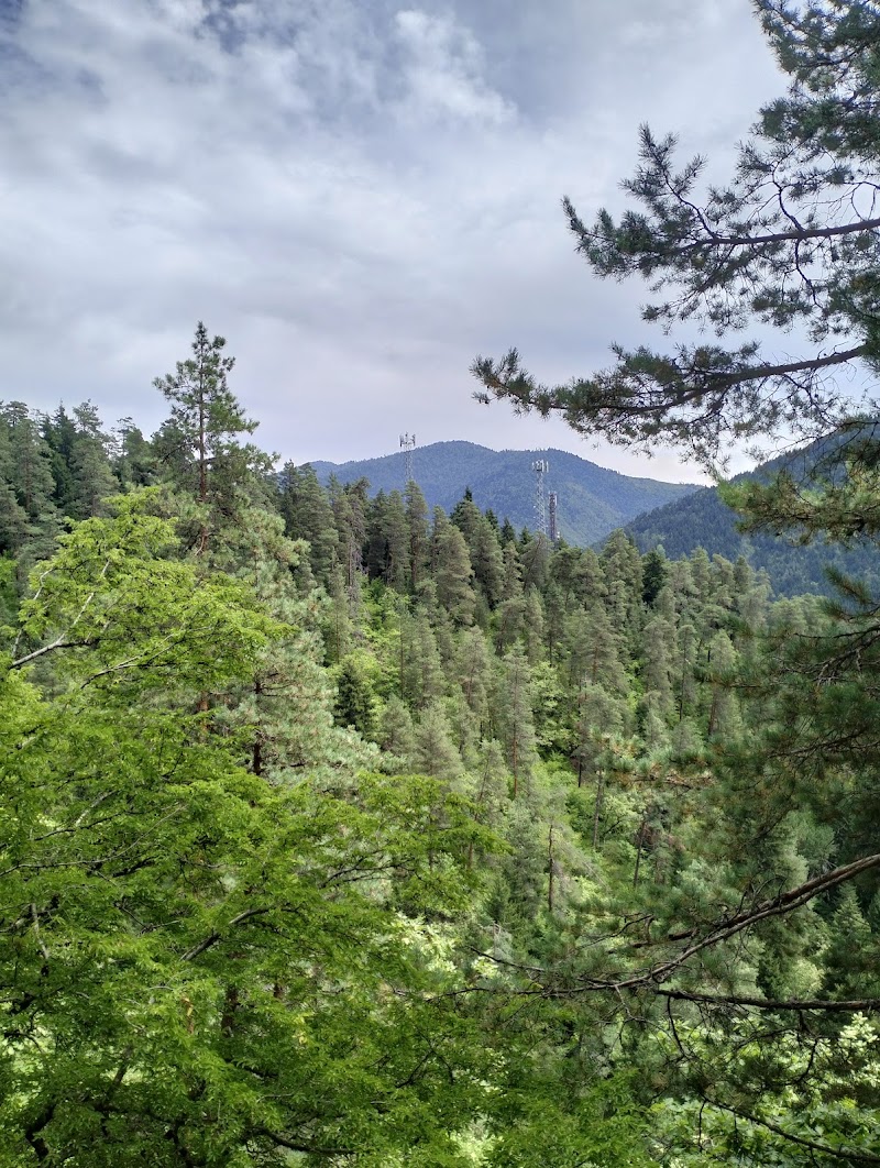 Borjomi-Kharagauli National Park Administration - Borjomi-Kharagauli National Park Administration, 23 მესხეთის ქუჩა, Borjomi 1200, Georgia