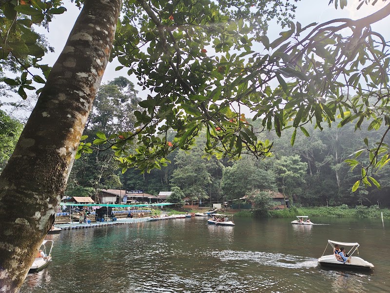 Pookode Lake Boating - Pookode Lake Boating, G2RG+7WQ, Pookode, Kunnathidavaka, Keralam 673576, India