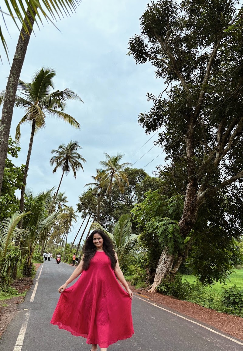 Parra coconut tree 🌴 road - Parra coconut tree 🌴 road, HQHJ+4RJ, St. Annes Church Rd, Parra, Goa 403510, India