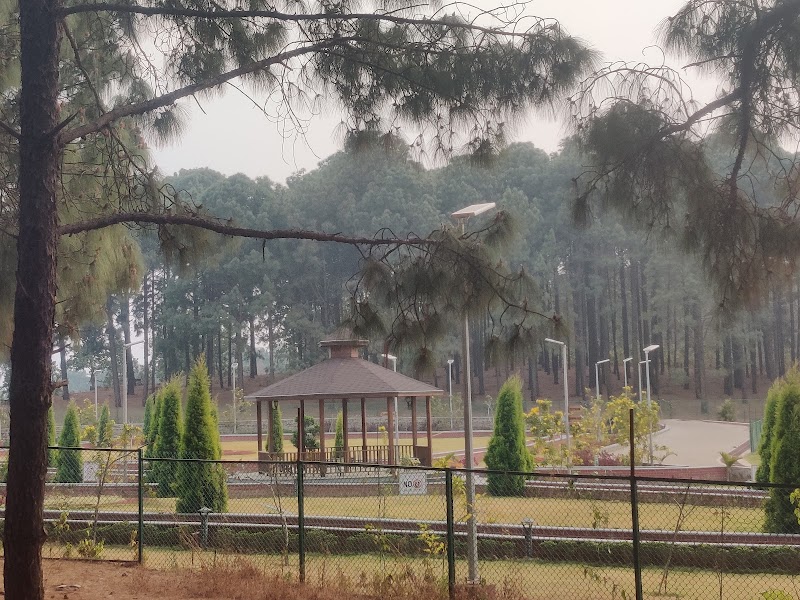 Saal and pine forest - Saal and pine forest F79G+864, Birjiatoli, Jharkhand 835218, India