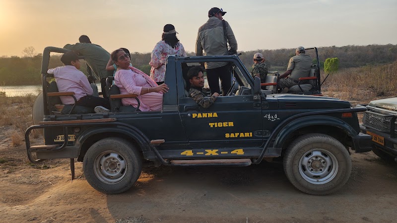 Panna Tiger Safari - Panna Tiger Safari, 40, Road, Mohan Nivas, Kunjvan, Panna, Madhya Pradesh 488001, India
