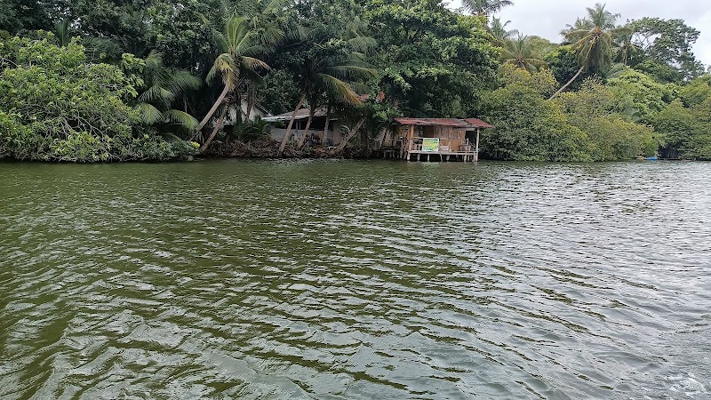 Madu River Safari මාදු ගඟේ බෝට් සෆාරි - Madu River Safari මාදු ගඟේ බෝට් සෆාරි, Near the Bridge, No.193/5 Galle Rd, Balapitiya 80550, Sri Lanka
