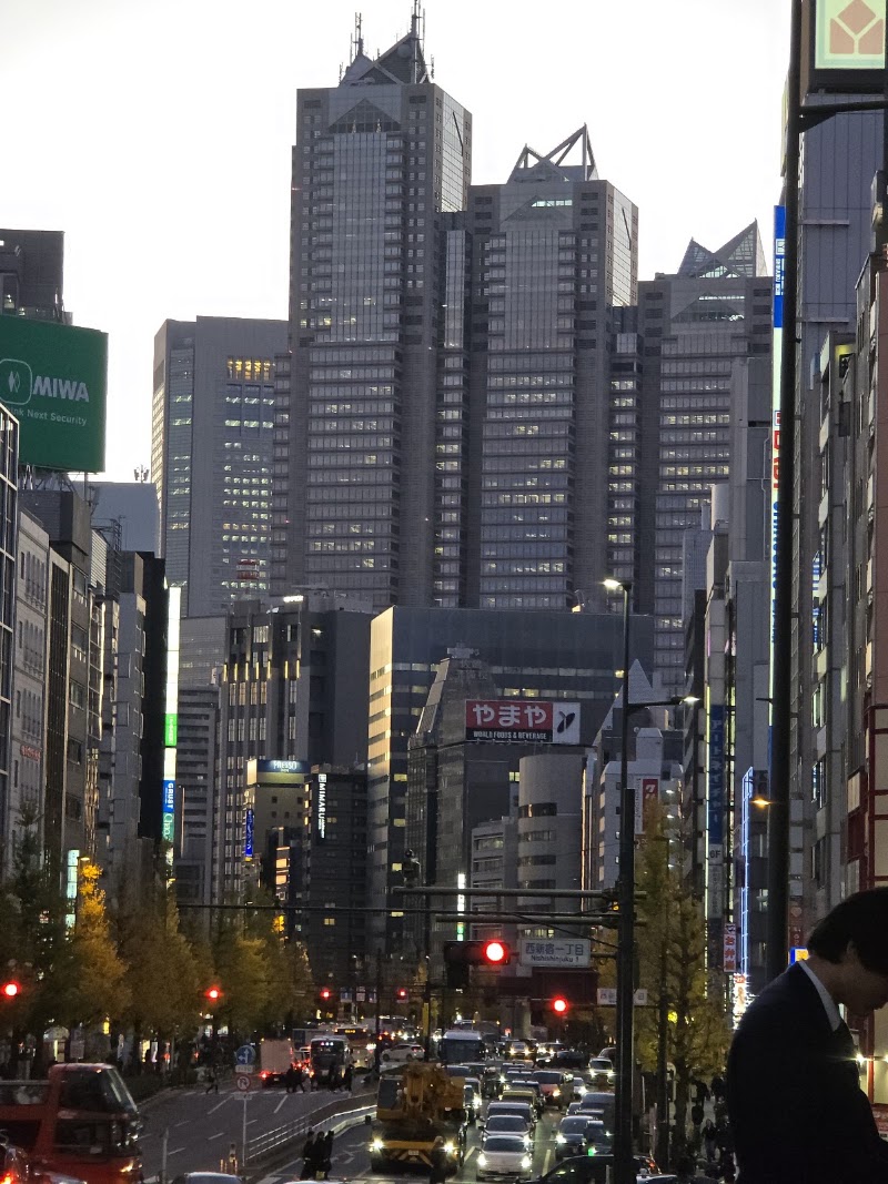 Odakyu Sightseeing Service Center - Shinjuku South - Odakyu Sightseeing Service Center - Shinjuku South, 新宿区西新宿1-1-3 小田急線新宿駅南口改札外, 1-chōme-1 Nishishinjuku, Shinjuku City, Tokyo 160-0023, Japan