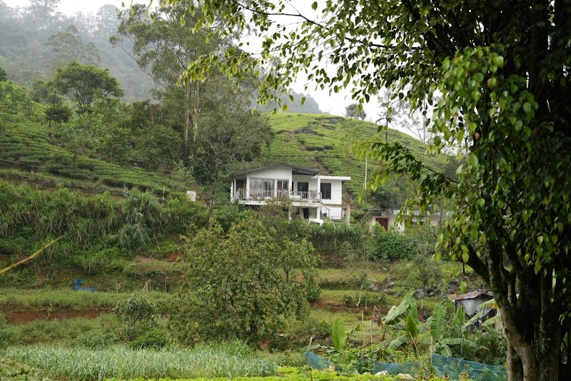Ansi Villa - Nanuoya - Ansi Villa - Nanuoya, WPVW+M2R, Nanuoya, Sri Lanka