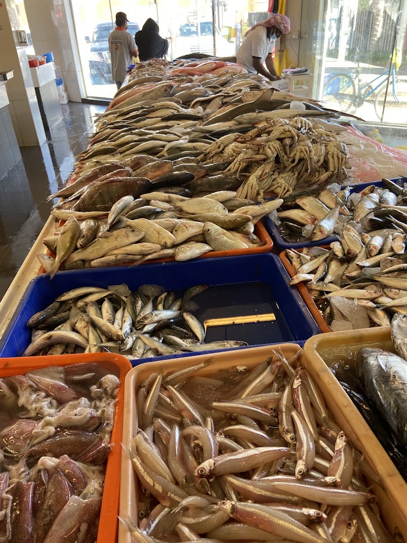 Jumeirah Fish Market سوق البحر للاسماك - Jumeirah Fish Market سوق البحر للاسماك Jumeirah 3 - Umm Suqeim 1 - Dubai - United Arab Emirates