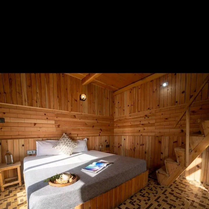The Cozy Cabin Jibhi - The Cozy Cabin Jibhi Jibhi, Banjar, Rashala, Himachal Pradesh 175123, India