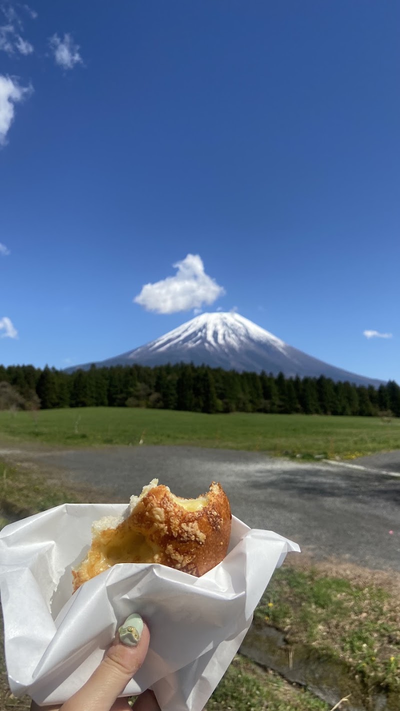 Mt. Fuji viewpoint - Mt. Fuji viewpoint 492 Nebara, Fujinomiya, Shizuoka 418-0101, Japan