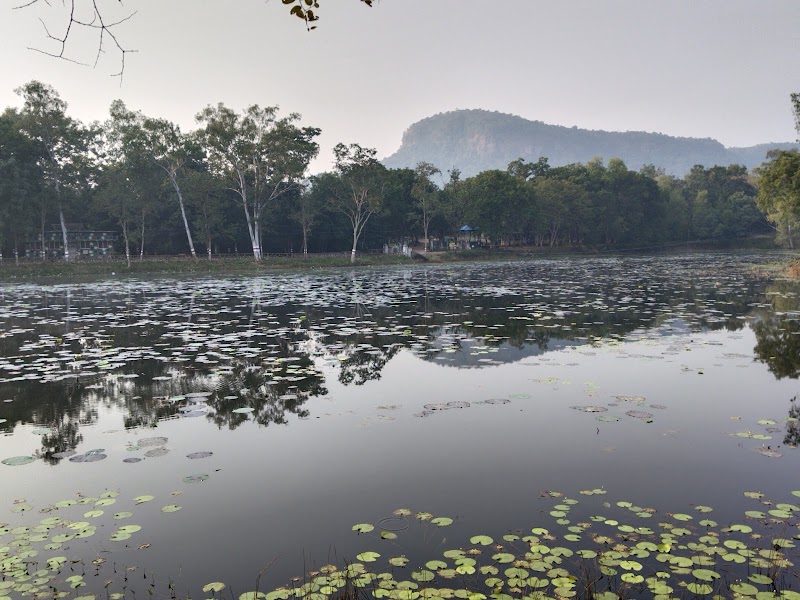 Gomarda Wildlife Sanctuary (ABHYARANYA) - Gomarda Wildlife Sanctuary (ABHYARANYA), C55P+9J8, Chhattisgarh 496445, India